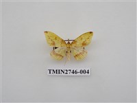 藏品(尺蛾308)的圖片